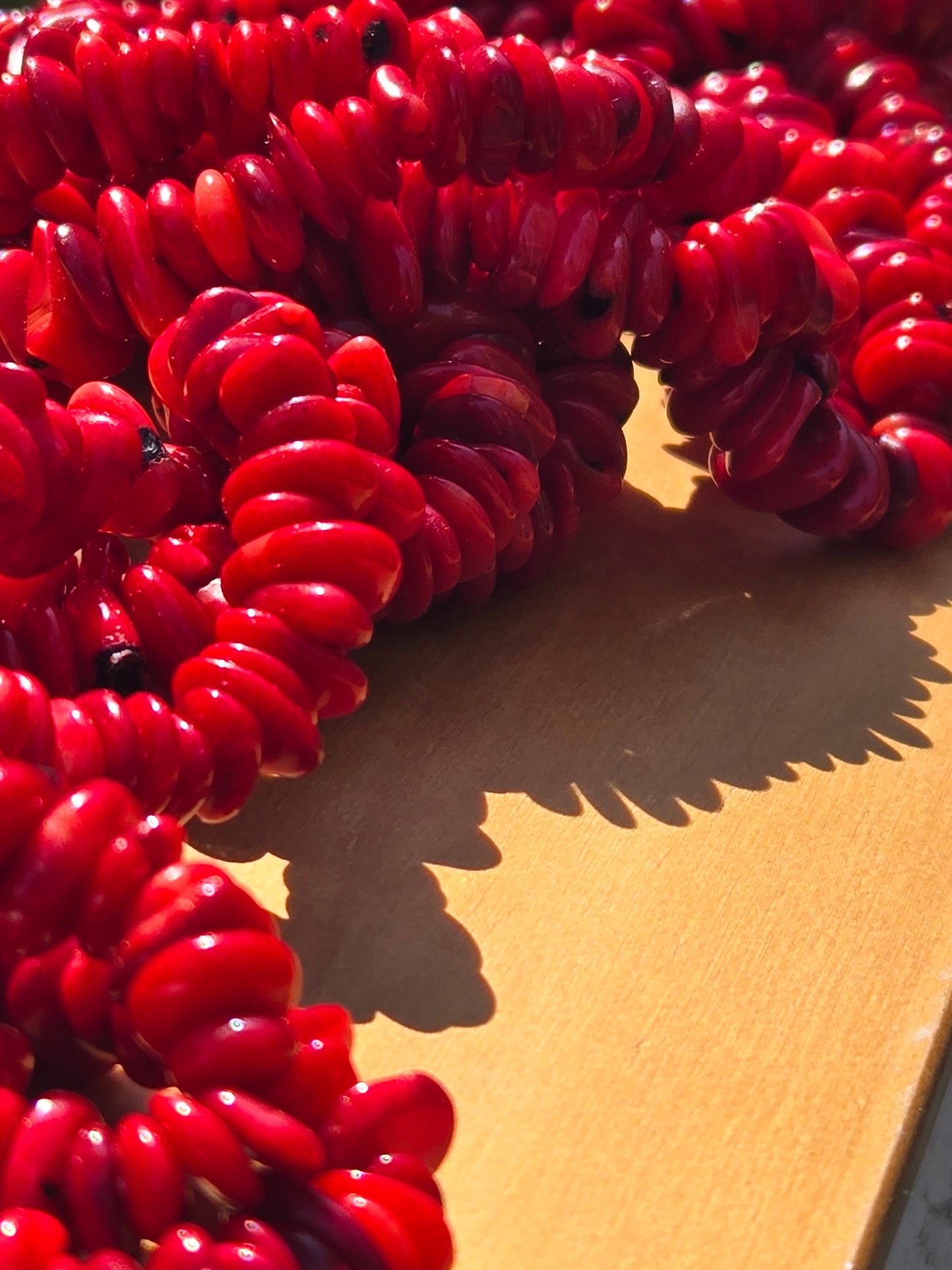 Red Coral